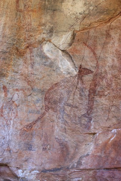 Kangaroo and Thylacine by Unbekannt Unbekannt